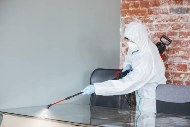 Asbestos and Lead Testing During Mold Inspection in Soquel, CA